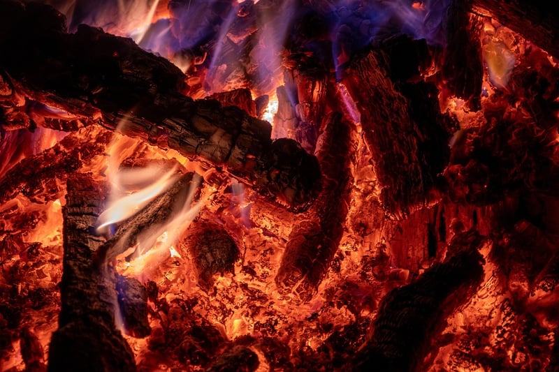 Campfire in the woods