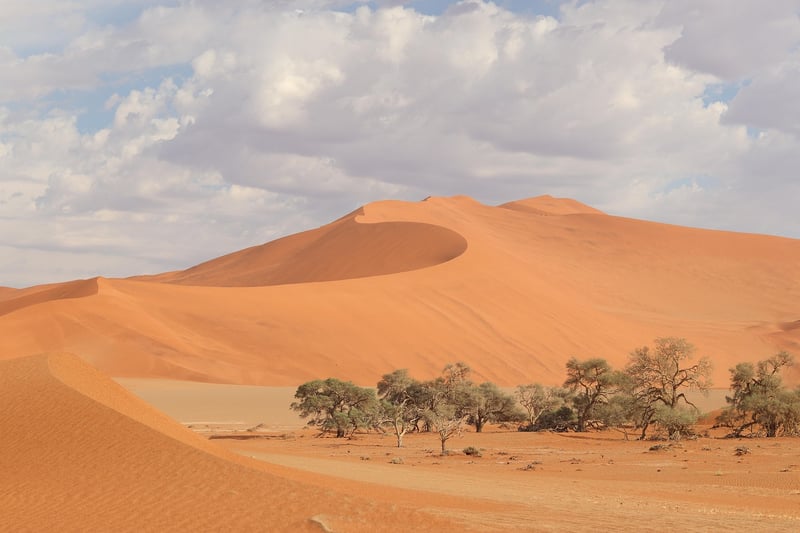 Sandboarding in Huacachina, Peru